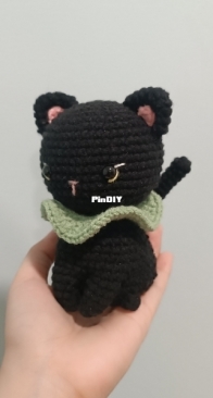 cute night black cat