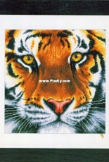 Lanarte PN-0156104 - Tiger