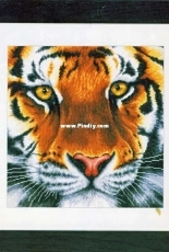 Lanarte PN-0156104 - Tiger