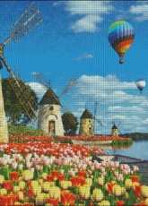 HAED DOM31327 - Tulips of Amsterdam  by Dominic Davison