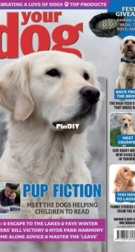 Your Dog - January 2026