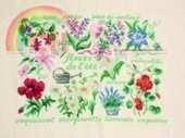 Lucas Creations - Fleurs de lété