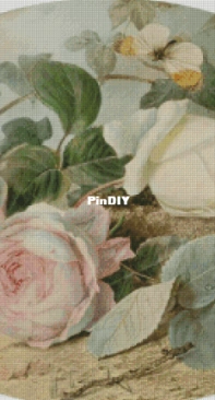 Chimera-Butterfly and roses