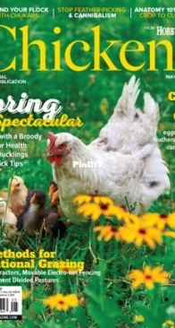 Chickens - May/June 2026
