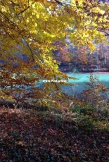 walk in the woods