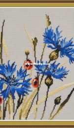 Oven / OBEH / Aries (Овен) -  799 Cornflowers xsd
