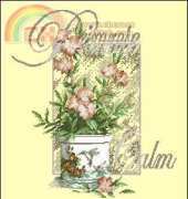 DMC BK241 Primrose Calm XSD