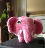 Mollie the Elephant, Ollie is the mascotte for a footballclub in Rotterdam
