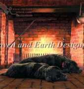 HAED HAEDPL 101 Fireside Companions John Weiss