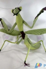 Jenna Wingate Designs - Jenna Wingate - Praying Mantis