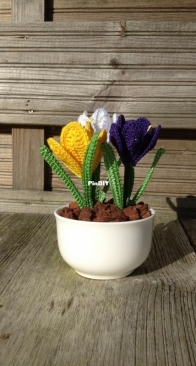 Yvonne Blanker - Crocus - Krokus - Dutch - Free