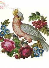 Parrot And Roses from Lena magazine