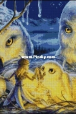 Bozenka 1001 - Owls