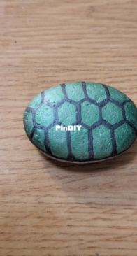 Turtle Rock!