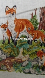Familie fox