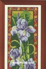 Klart 6-080 Irises