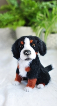 Anna Kudinova - Béarnese Sheepdog - Russian