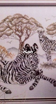 Zebras from Stoney Creek Collection Book 88 - Animal Kingdom PCS