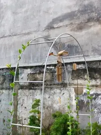 How did I build a garden all by myself - 8 final