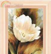 FIORI 119