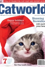 Cat World – January 2019