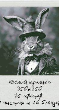 Siberia Stitch- White rabbit