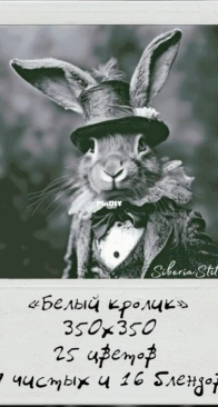 Siberia Stitch- White rabbit