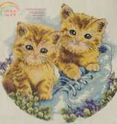 Dome - Two Kitten