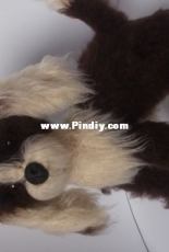 Spaniel od Remka