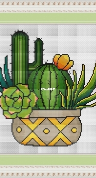 Cacti by Tatyana Vasilyeva