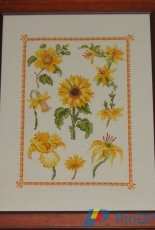 Girasole e altri fiori gialli