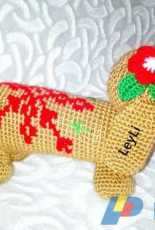 My dog