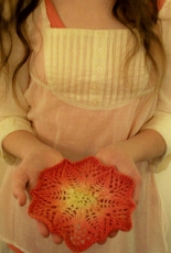Poinsettia Lace Doily by Linda Browning