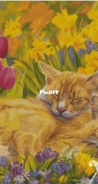 Chimera - Sunny Cats
