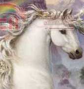 HAED HAERSQS1009 Unicorn valley