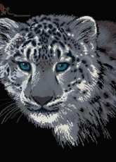 Riolis 100-022 Snow Leopard  XSD
