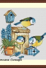 Bluebirds by Svetlana Sichkar