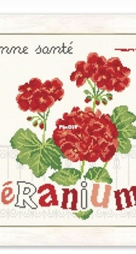 Lilipoints- le géranium