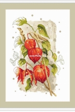 Coricamo HP10190 - Autumn Ground Cherry
