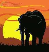 Pinn 40-I  Elephant