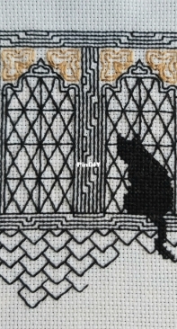 Black cat