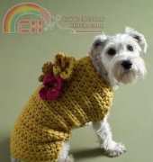 Lion Brand Yarn -  80934AD Flower Garden Dog Sweater Crochet Pattern