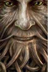 HAED HAEANSSK 1104 Storykeep Oak King by Anne Stokes