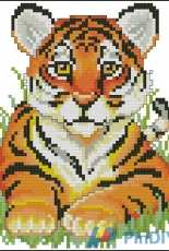 Pako 210.847 Tiger