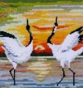 Sunset Cranes