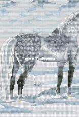 Winter Horse by Serafima Abramova XSD
