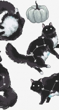 Letistitch L8817 Cat Constellation XSD