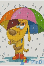 Tani211-Rainy Day XSD
