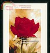 I Love CrossStitch ILCS IL 015 - Red Rose in XSD