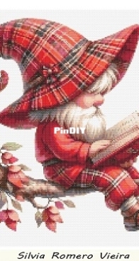 Gnome Reading by Silvia Romero Vieira - Free